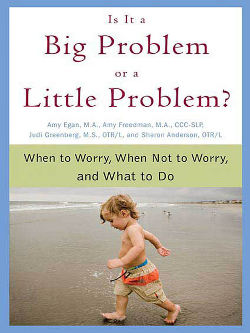 Title details for Is It a Big Problem or a Little Problem? by Amy Egan - Wait list